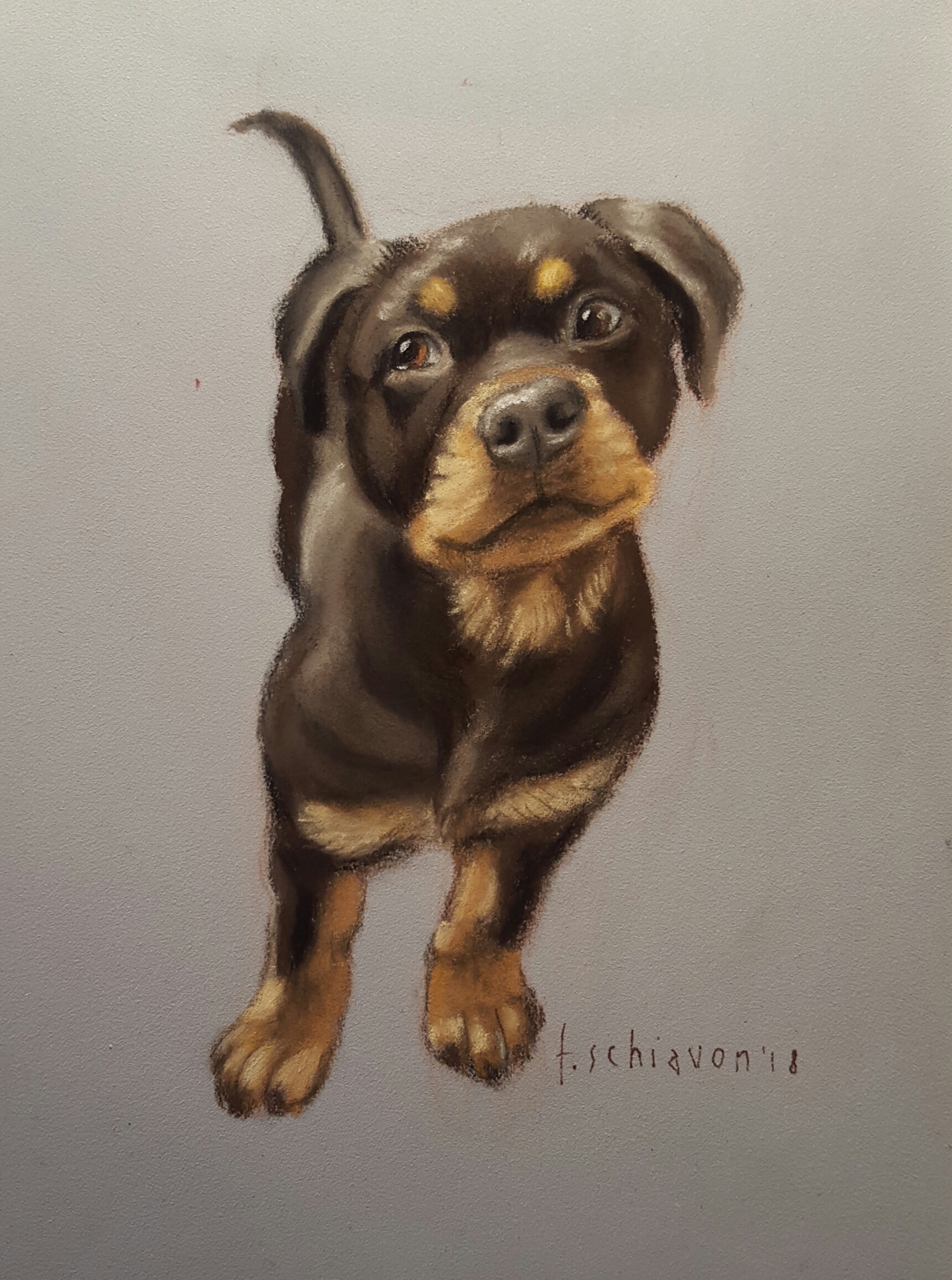 Cagnolino cucciolo - 13 x18 cm - carta speciale 
